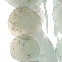 Capiz wind chime hanging decoration shell decoration green Ø29cm 160cm