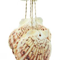 Product Maritime hanging decoration shells Maritime wind chime 74cm