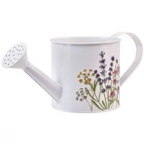 Product Watering can metal for planting plant pot white 13.5cm
