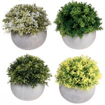 Product Artificial plants Artificial boxwood 12.5cm×Ø12cm 4pcs