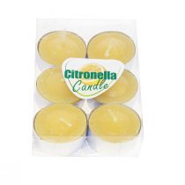 Scented candle citronella candle, citronella tea lights Ø3.5cm H1.5cm 6 pieces