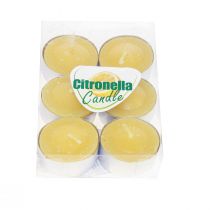 Product Scented candle citronella candle, citronella tea lights Ø3.5cm H1.5cm 6 pieces