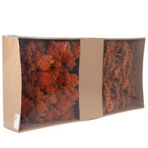 Product Achillea Orange Dried Flowers Yarrow 45-60cm 1kg