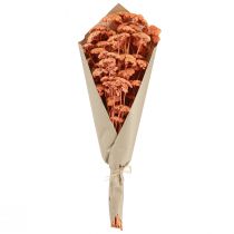 Product Achillea Yarrow dried meadow flowers salmon 40-50cm 80g