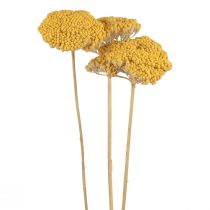 Yarrow Dried Flowers Decorative Achillea Millefolium Yellow 3pcs