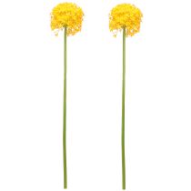 Product Allium Yellow Flower Ornamental Onion Artificial 80cm Ø14.5cm 2pcs