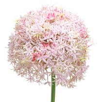 Product Allium with pink flower ornamental onion artificial Ø18cm L90cm