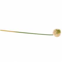 Product Ornamental allium artificial pink / green Ø8cm 58cm