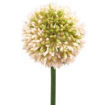 Ornamental allium artificial pink / green Ø8cm 58cm