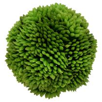 Allium Ball 5cm Green 4pcs