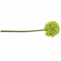 Product Ornamental onion Allium, silk flower, artificial ball leek green Ø20cm L72cm
