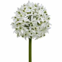 Decorative flower Allium, artificial ball leek, ornamental onion white Ø20cm L72cm