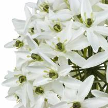 Product Decorative flower Allium, artificial ball leek, ornamental onion white Ø20cm L72cm