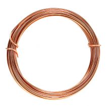 Product Aluminium wire 2mm 100g 12m copper