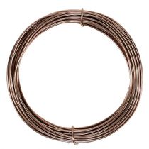 Product Aluminum wire light brown Ø2mm 12m