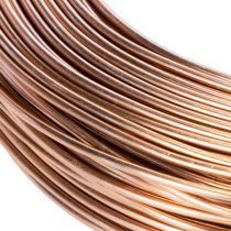 Product Brown Aluminium Wire 2mm x 60m for Floristry and Crafting (500g)