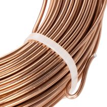 Product Brown Aluminium Wire 2mm x 60m for Floristry and Crafting (500g)