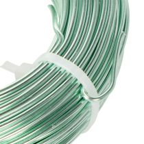 Product Mint Green Aluminium Wire 2mm x 60m for Crafting and Decoration