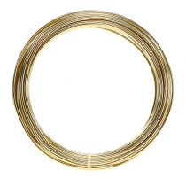 Aluminum wire 2mm 100g gold
