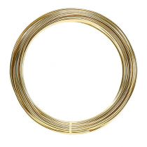 Product Aluminium wire 2mm 100g gold