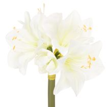 Product Artificial Amaryllis flower, white, with stem, Advent and Christmas, 50cm