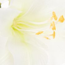 Product Artificial Amaryllis flower, white, with stem, Advent and Christmas, 50cm