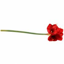 Product Amaryllis red 75cm