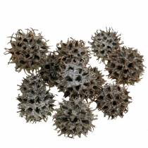 Sweet gum cones natural white washed 250g