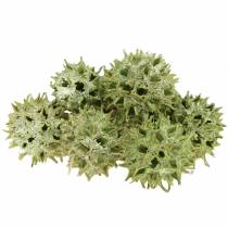 Sweet gum cones green frosted 250g