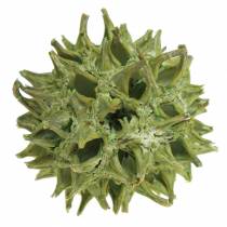 Sweetgum cones green frosted 250g