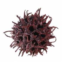 Product Sweetgum cones red frosted 250g
