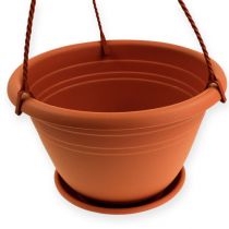 Product Hanging basket Galicia Ø30cm terracotta