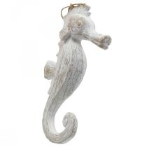 Product Pendant seahorse decoration white, maritime decoration H23cm