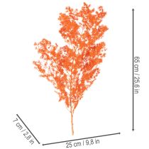 Product Orange Dyed Asparagus Fern Branch - Dried, 65cm, 80g