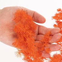 Product Orange Dyed Asparagus Fern Branch - Dried, 65cm, 80g