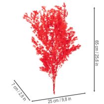 Product Red Dried Asparagus Bundle for Floral Arrangements 65cm 80g