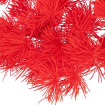 Product Red Dried Asparagus Bundle for Floral Arrangements 65cm 80g