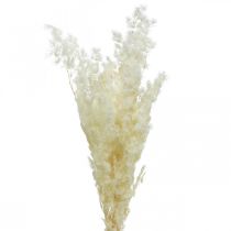 Asparagus dry decoration white dried ornamental grass 80g