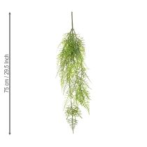 Product Artificial asparagus as a hanging plant for low-maintenance home decoration, 75cm