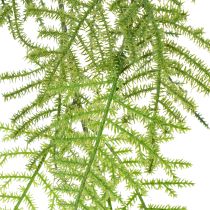 Product Artificial asparagus as a hanging plant for low-maintenance home decoration, 75cm