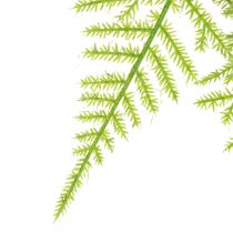 Product Artificial asparagus as a hanging plant for low-maintenance home decoration, 75cm