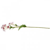 Product Large Masterwort Artificial Astrania Silk Flower White Pink L61cm