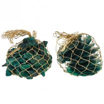 Product Oyster & capiz shells Turquoise 3.5-9.5cm Assorted nets 2pcs