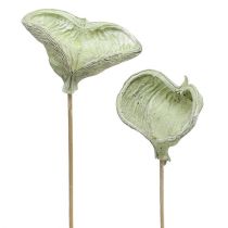 Product Badam on a stick green 25 pieces