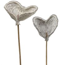 Product Badam on a stick whitewashed 12cm L55cm 23 pcs