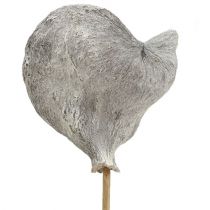 Product Badam on a stick whitewashed 12cm L55cm 23 pcs