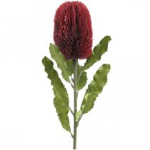 Artificial Flower Banksia Red Burgundy Artificial Exotics 64cm
