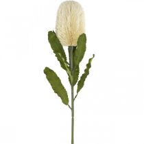 Product Artificial Flower Banksia White Cream Artificial Exotics 64cm