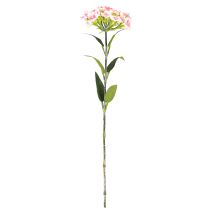 Product Bearded carnation artificial carnation Peach Pink 52cm
