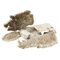 Product Tree sponge white washed 1kg